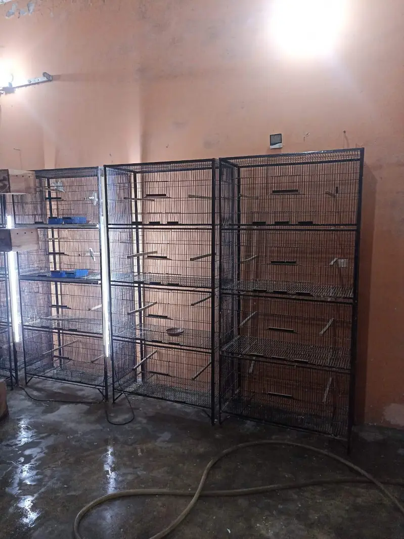 Premium 4 portion cages — photo 4