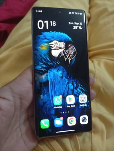 Infinix Zero 40  256gb