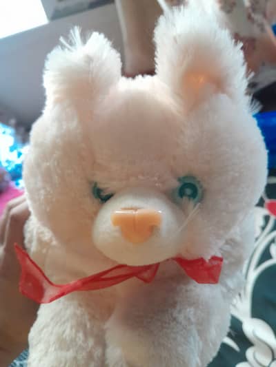 plushed toy Cat