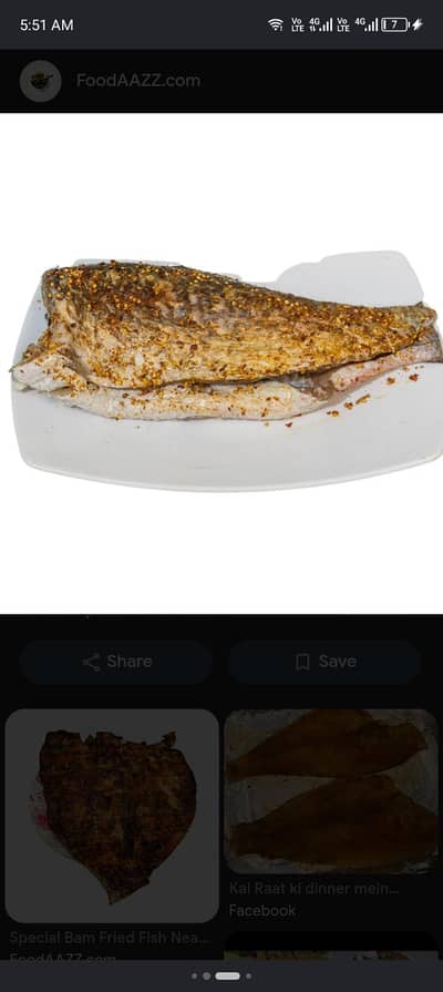 Fish fry Karigar ki zarorat hai