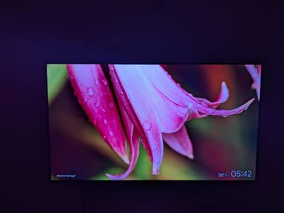 TCL P8K 55 inch QLED