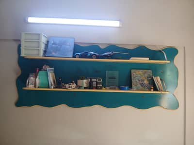 Modern 2-Tier Wavy Wall Shelf / Bookcase (Teal & Beige)