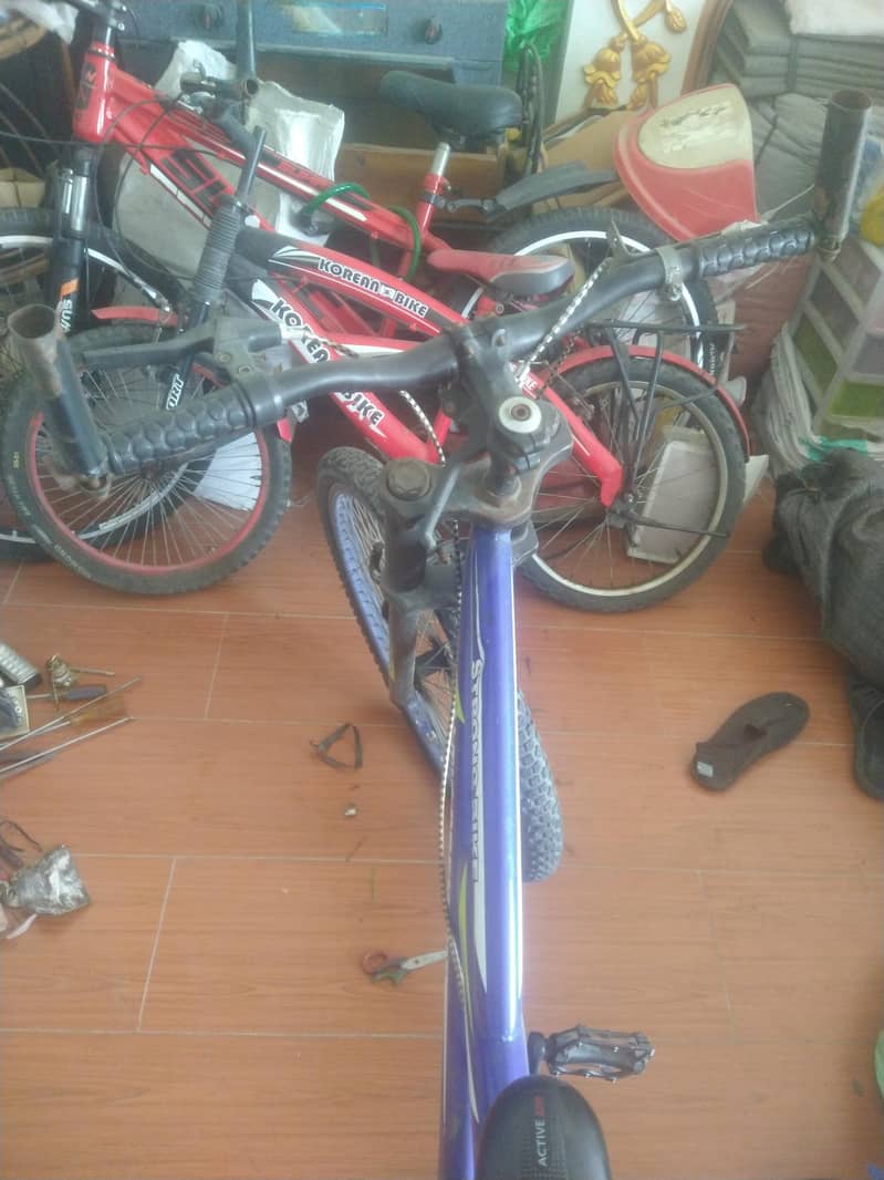 cycle 5