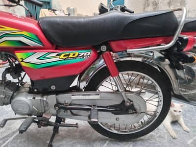 honda 70 2023