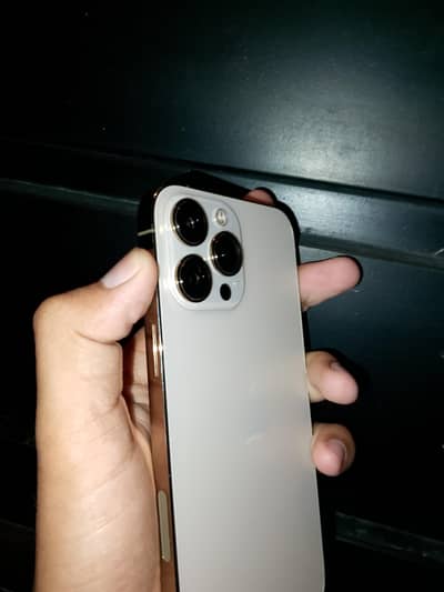 Apple iPhone 13 Pro Max