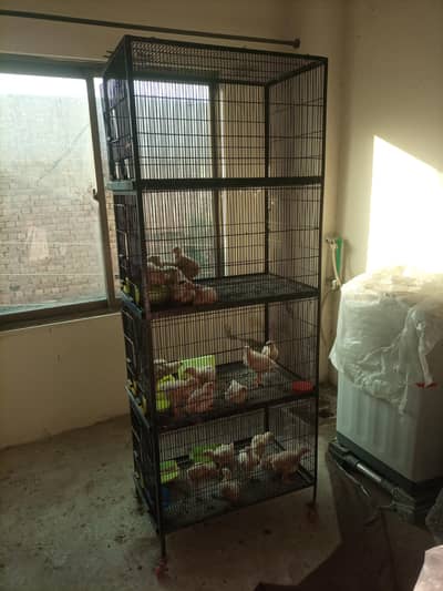 7 feet  4 portion 2.5 *2.5 movable solid metal cage with 7 feeding box