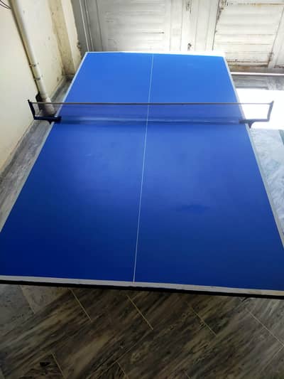 Table Tennis Table
