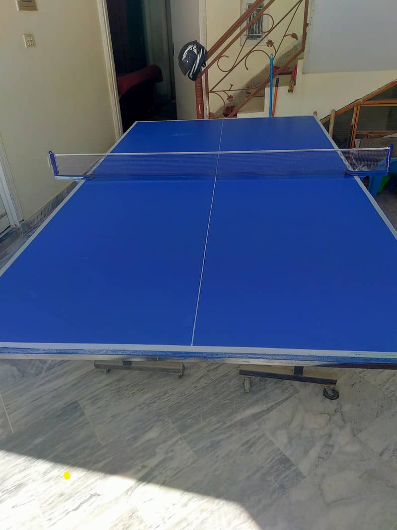 Table Tennis Table 1