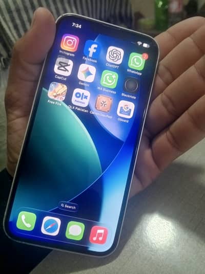 Apple iPhone 13