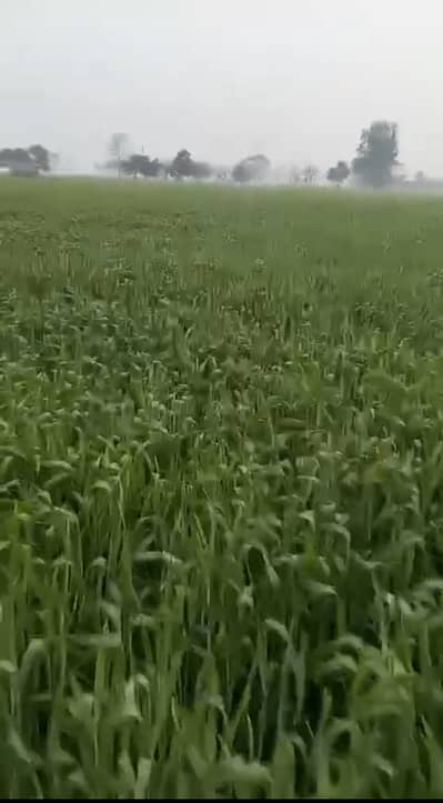 13 Acres Agricultural Land For Sale