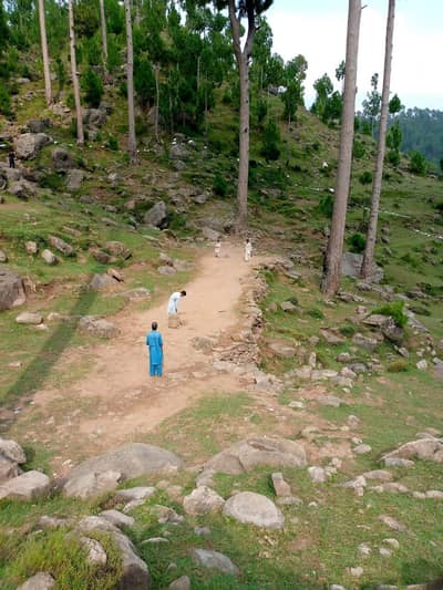 gar MN kaam karny ka lye koi larka chayei to rabta Kary Murree sa hoga