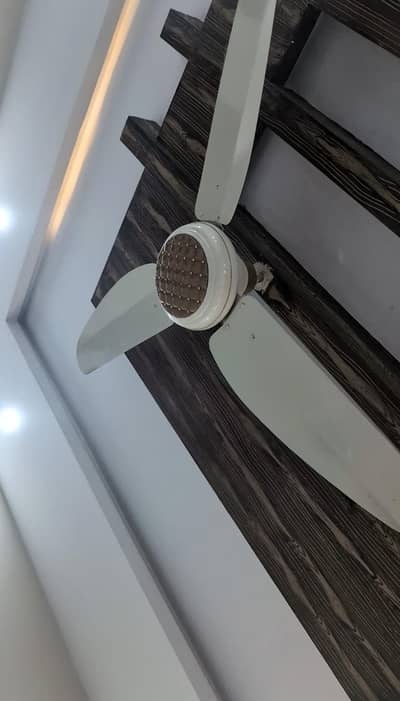 Branded Fans for sale