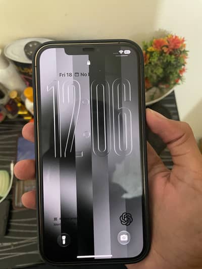 Apple iPhone 12 Pro Max