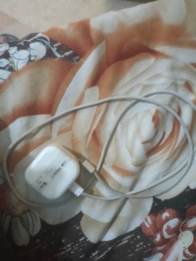 16 Pro Max type C-to-C cable