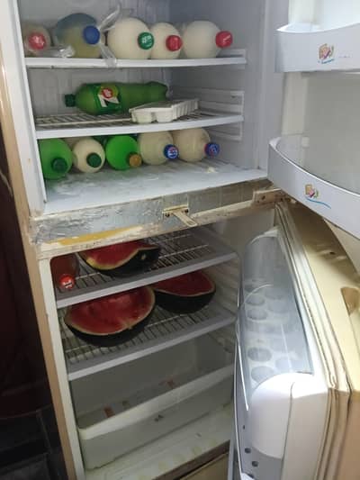 PEL Refrigerator