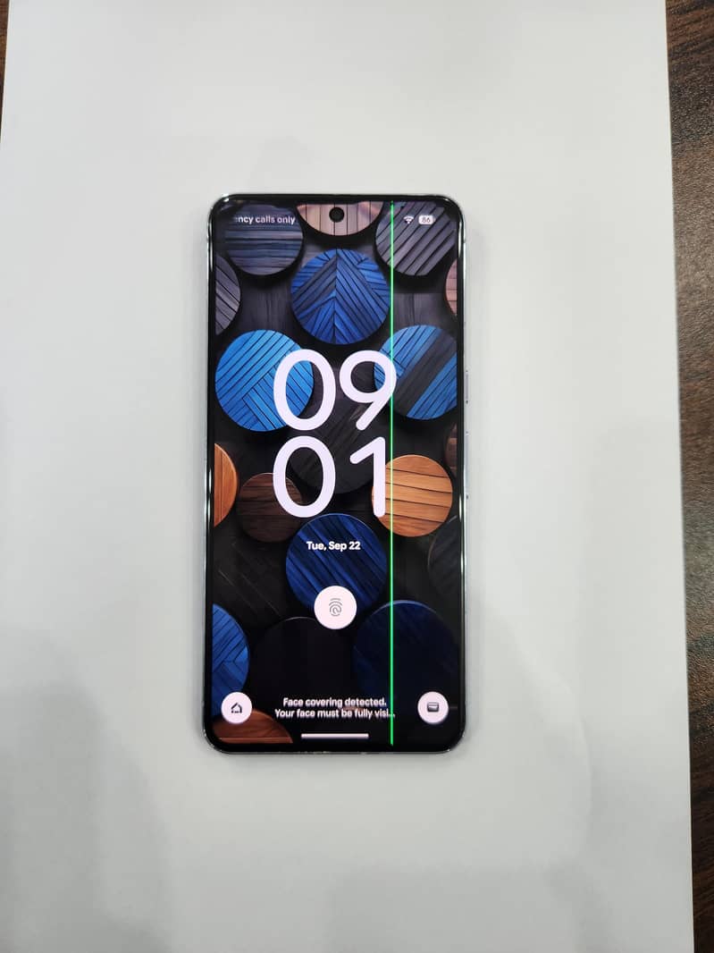 Google Pixel 8 Pro (Panel damage) 6