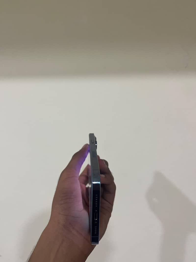 Apple iPhone 13 Pro Max 2