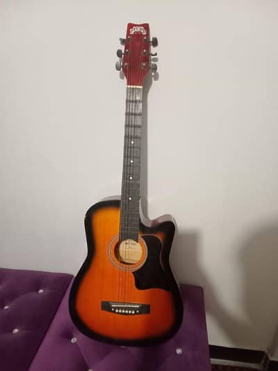 acoustic guitar