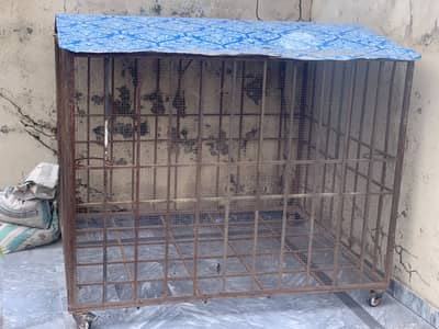 Big Size Cage for sale