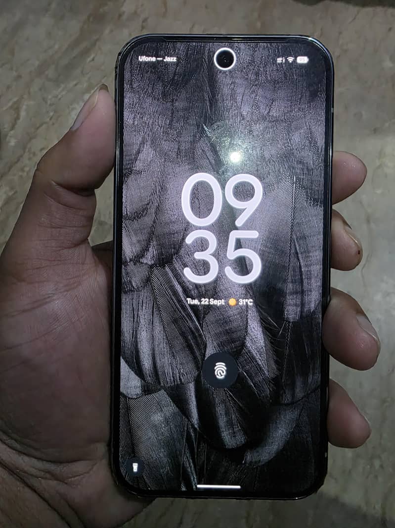 Google Pixel 9 Pro 0