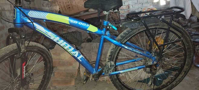 cycle sumac