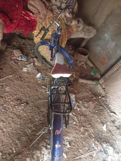 cycle sale