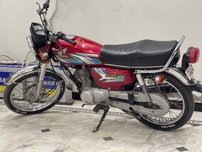red fresh cg 125