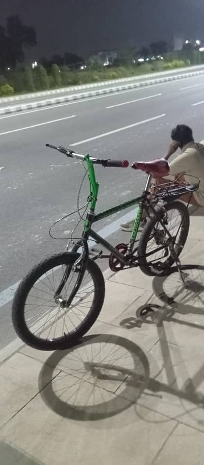Riding Bicycle phoenix