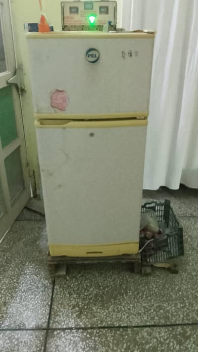 Pel white color medium