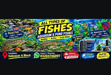All Types Aquarium & Pond Fish | Fish Accessories | Sabzazar A Block |