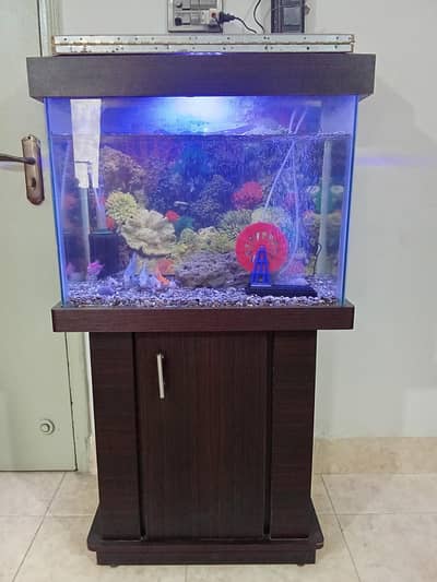sell Fish aquarium