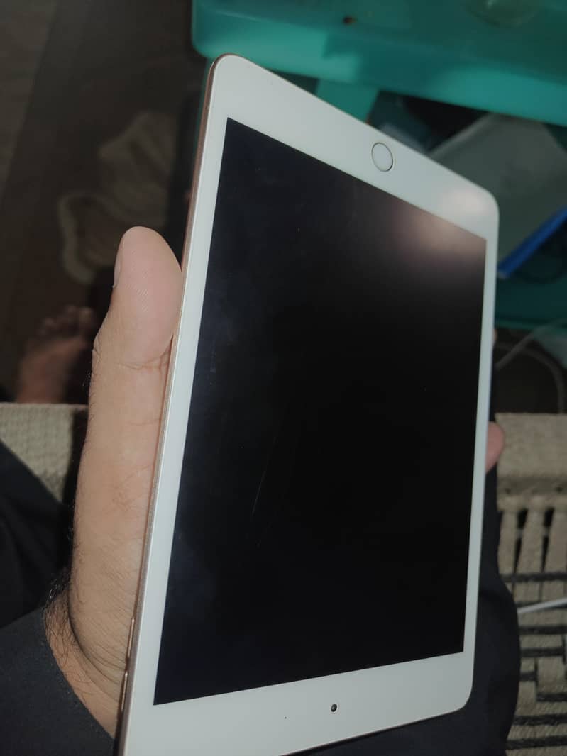 ipad mini5 lush condition 0