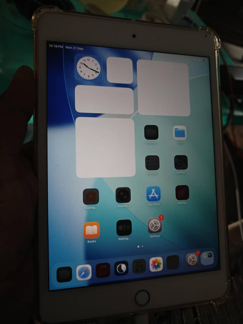 ipad mini5 lush condition 1