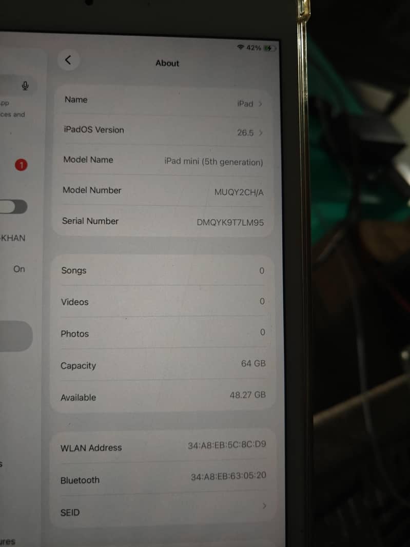 ipad mini5 lush condition 2