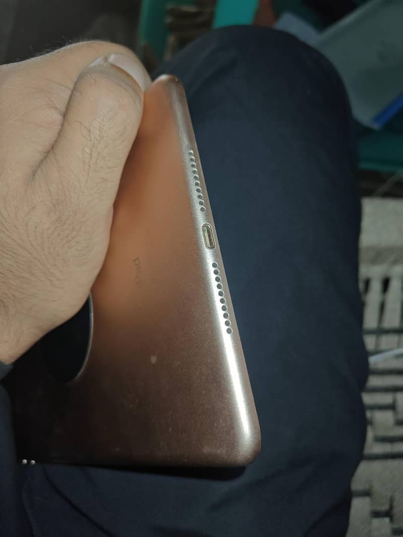 ipad mini5 lush condition 3