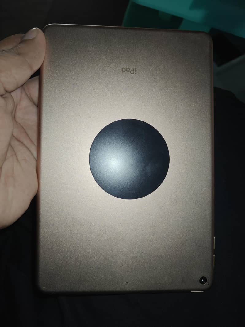 ipad mini5 lush condition 5