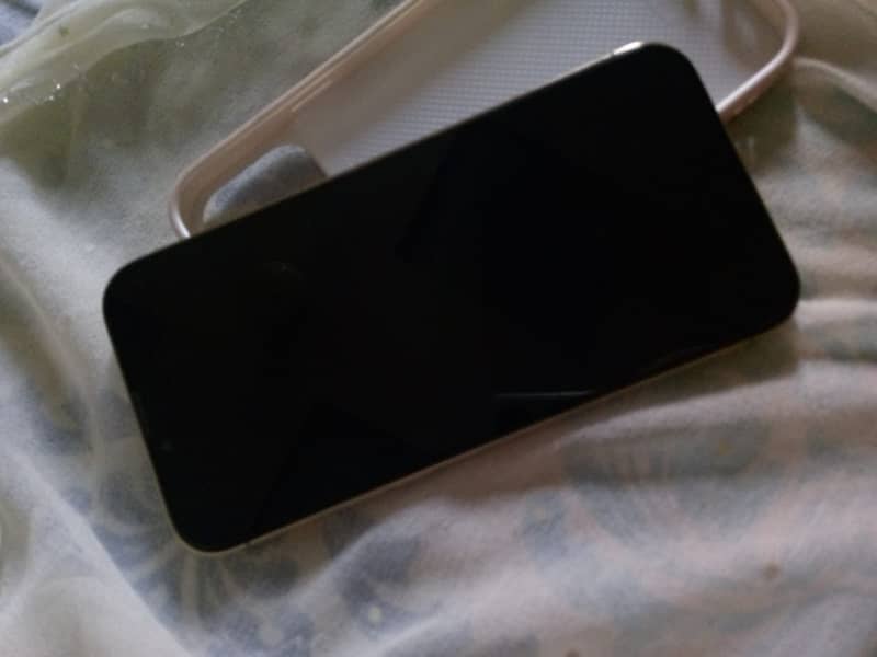 Apple iPhone 13 Pro Max 2