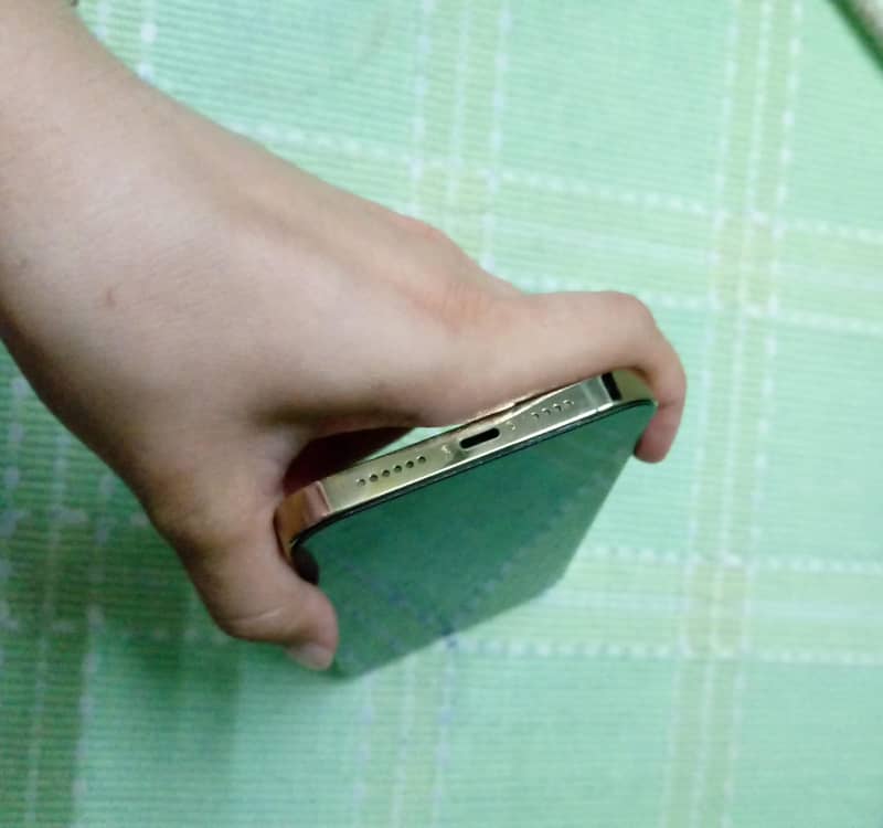 Apple iPhone 13 Pro Max 6