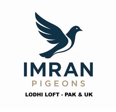 Imran.Pigeons