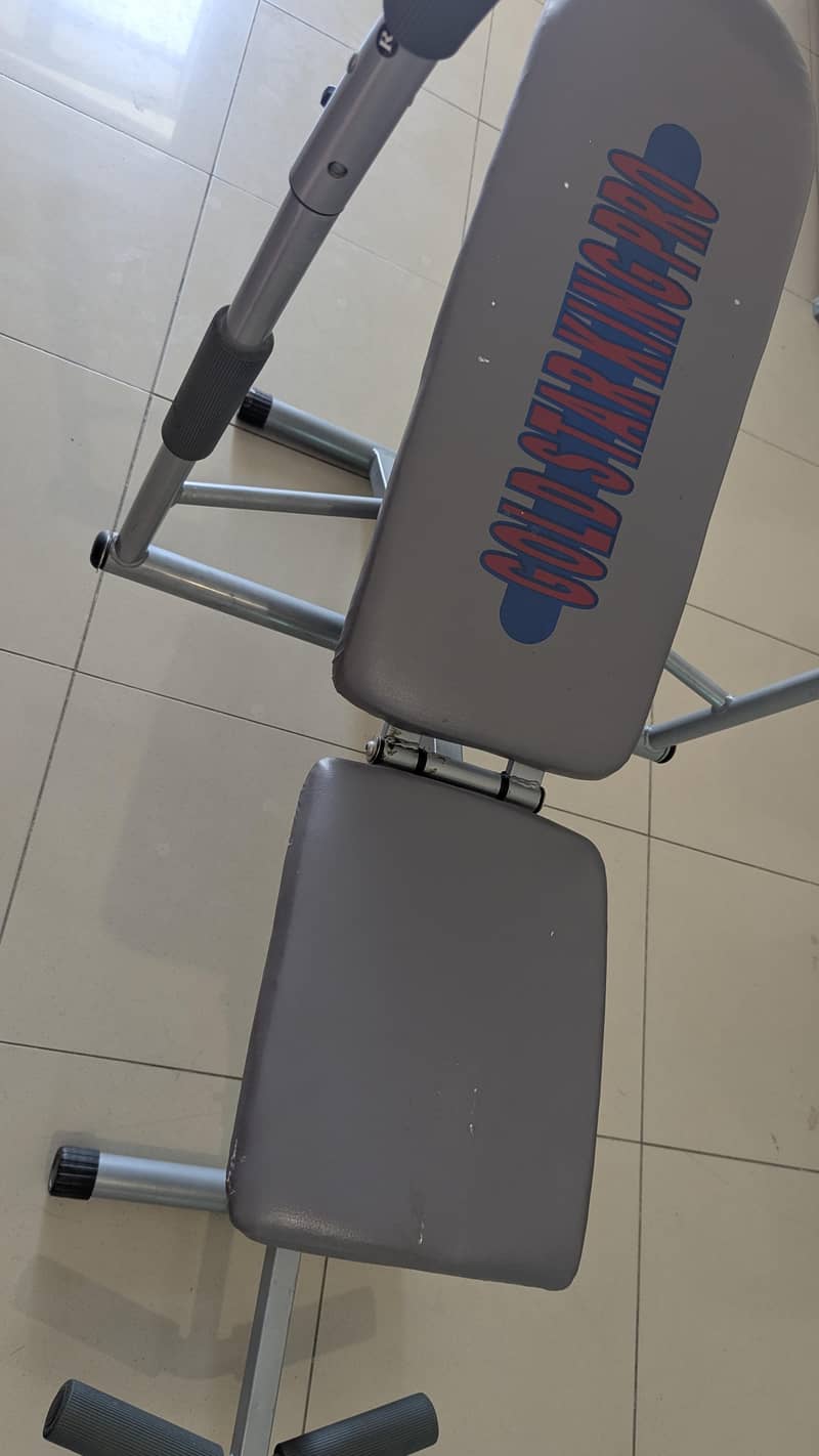 Abs King Pro 1