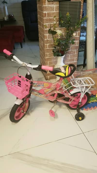 kids Bicycle (not used)