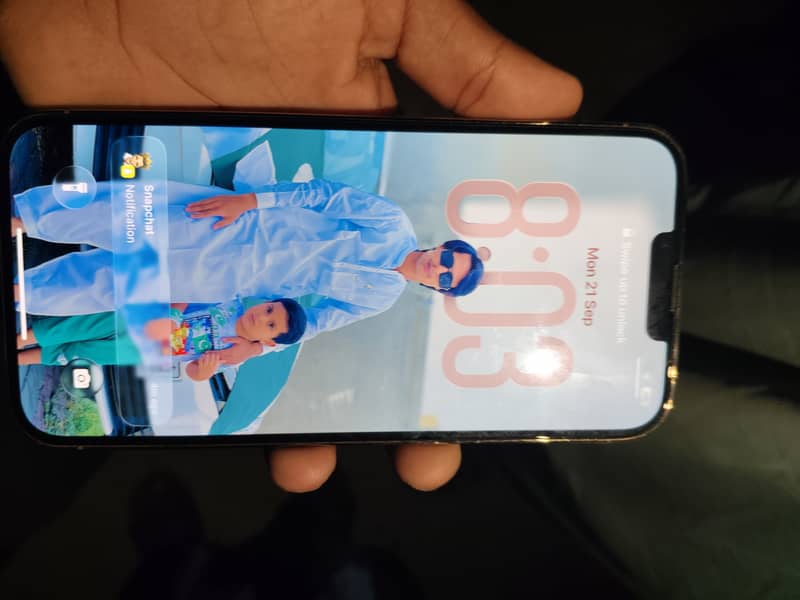 Apple iPhone 13 Pro Max 1