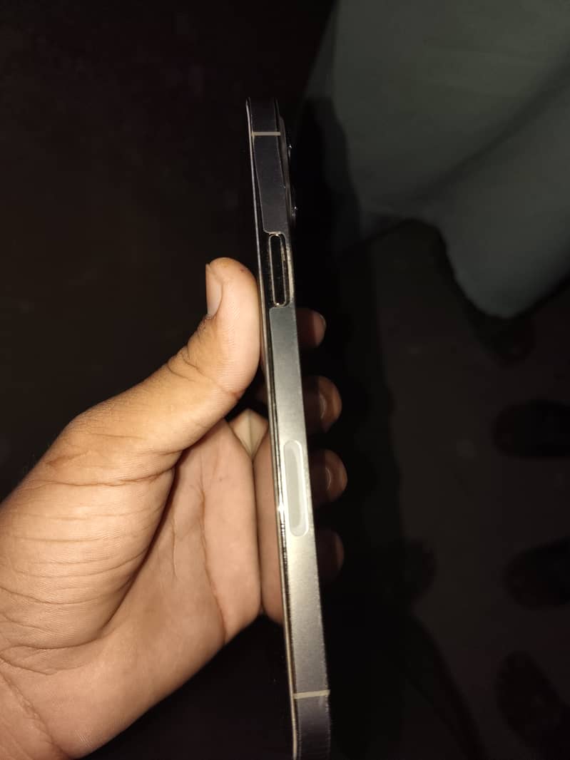 Apple iPhone 13 Pro Max 2