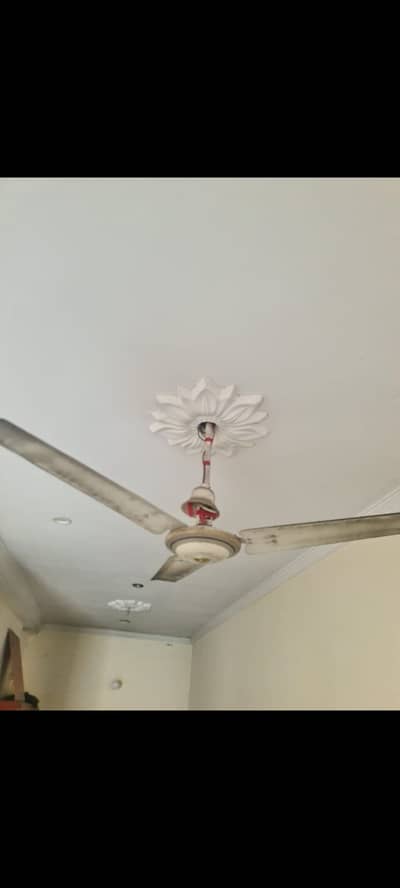 ceiling fan for sale