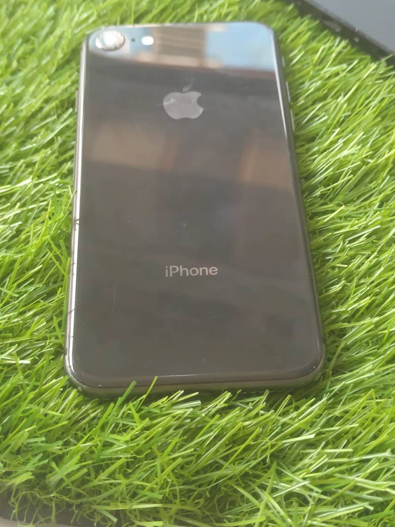 Apple iPhone 8 0