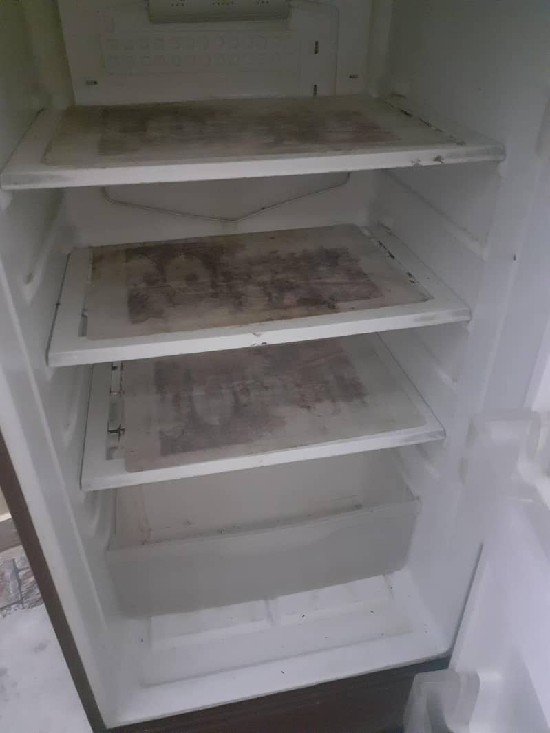 fridge 2