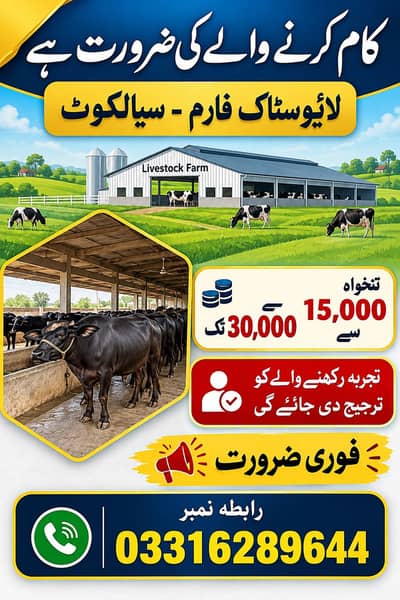 Livestock Worker Required