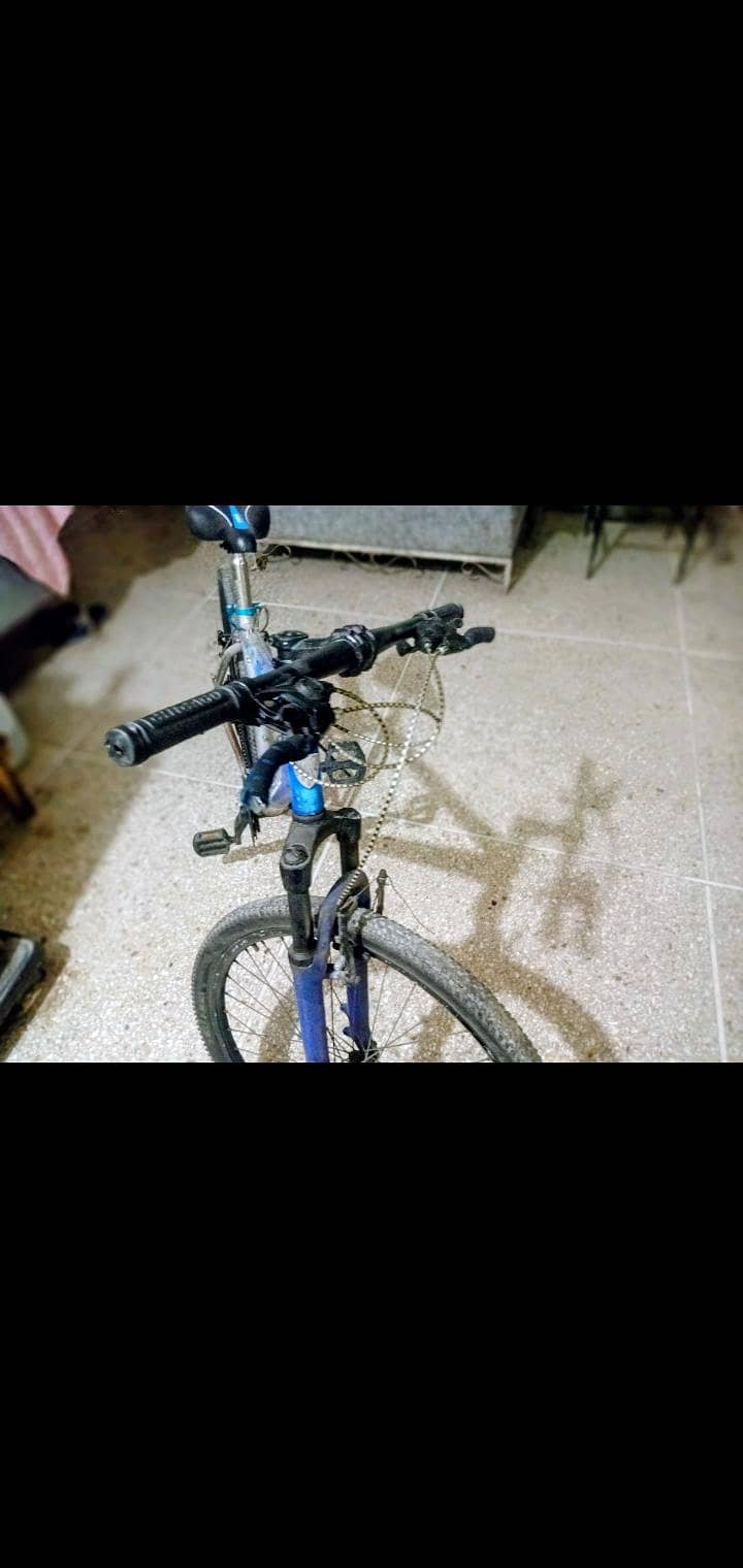 Japanese cycle 1