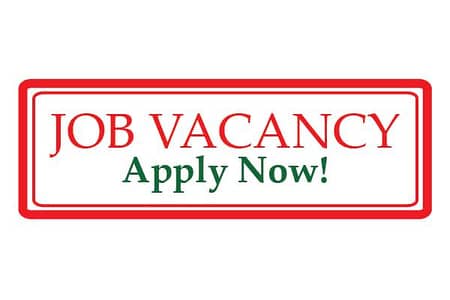 Office Lady – Kitchen & Washroom Maintenance
