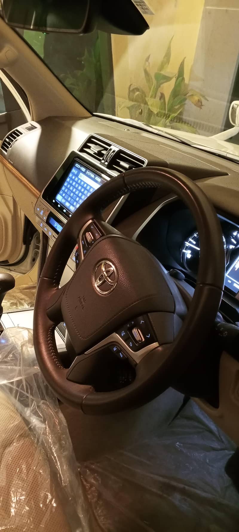 pardo tx 2